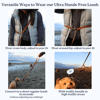 The Ultra Hands Free Leash with Traffic Handle | Midnight Black